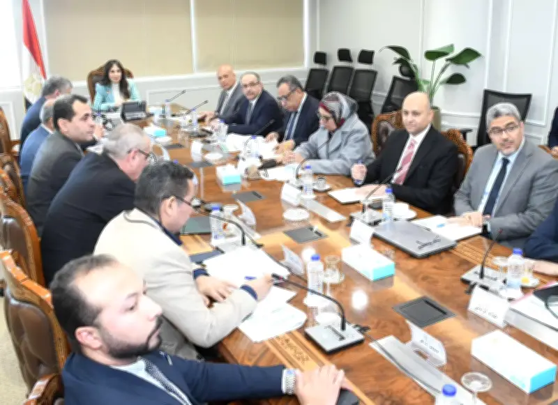 وزارة الإسكان تتابع معدلات إنجاز مشروعات حياة كريمة وتوجه بتكثيف العمالة