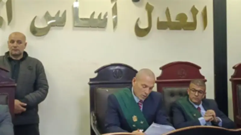 السجن المؤبد لسائق توك توك بتهمة الاعتداء على طفلة في الدلنجات