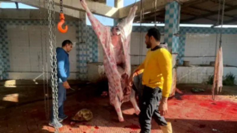 دمياط ترفع درجة الاستعداد بمجزر ميت أبو غالب لاستقبال شهر رمضان