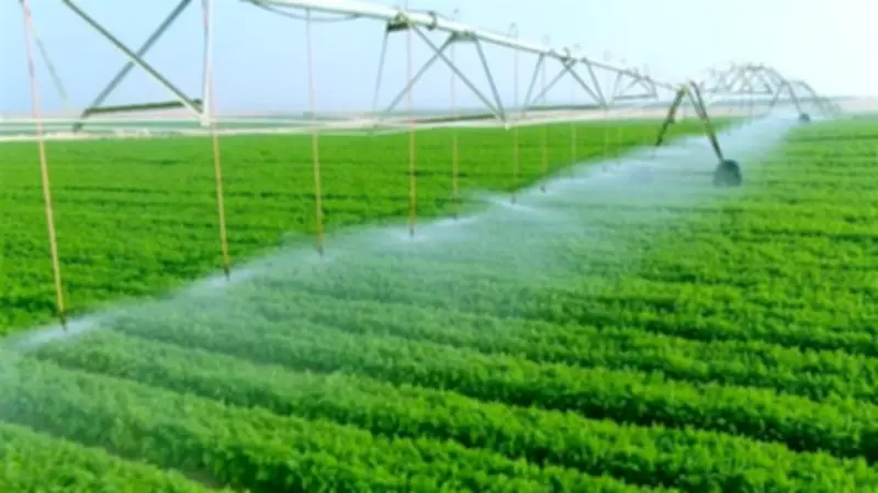 جهاز مستقبل مصر.. مشروع قومي ضخم يعزز الأمن الغذائي ويوفر فرص عمل بالملايين