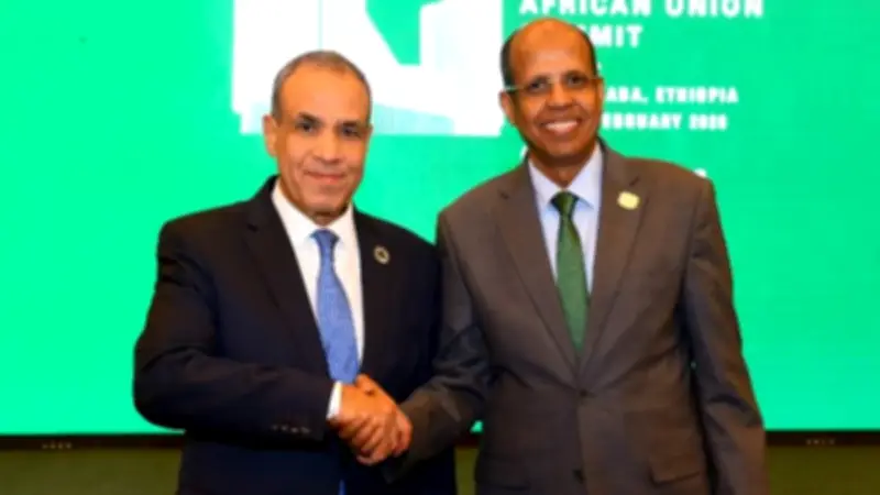 وزير الخارجية: حوكمة البحر الأحمر مسئولية الدول المشاطئة فقط