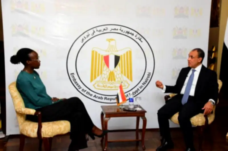 وزير الخارجية: مصر تلتزم بدعم ركائز السلام والأمن بالقارة الإفريقية