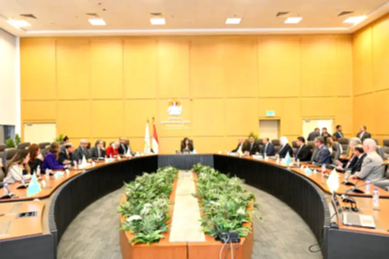 وزارة التضامن الاجتماعي تعلن عن تعزيز الشراكة مع كبرى المؤسسات العالمية لخدمة ذوي الهمم