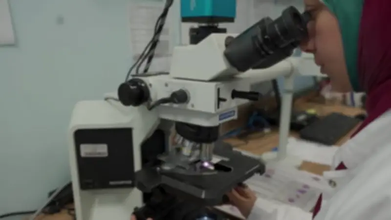 خبير أورام يوضح مصدرين رئيسيين للحصول على الخلايا الجذعية لعلاج السرطان