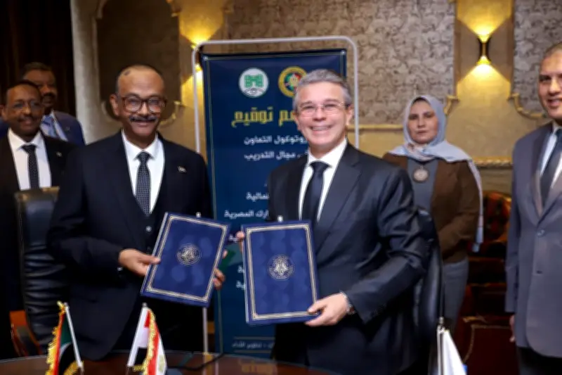 توقيع بروتوكول تعاون بين الجمارك المصرية والسودانية لتعزيز التكامل الاقتصادي