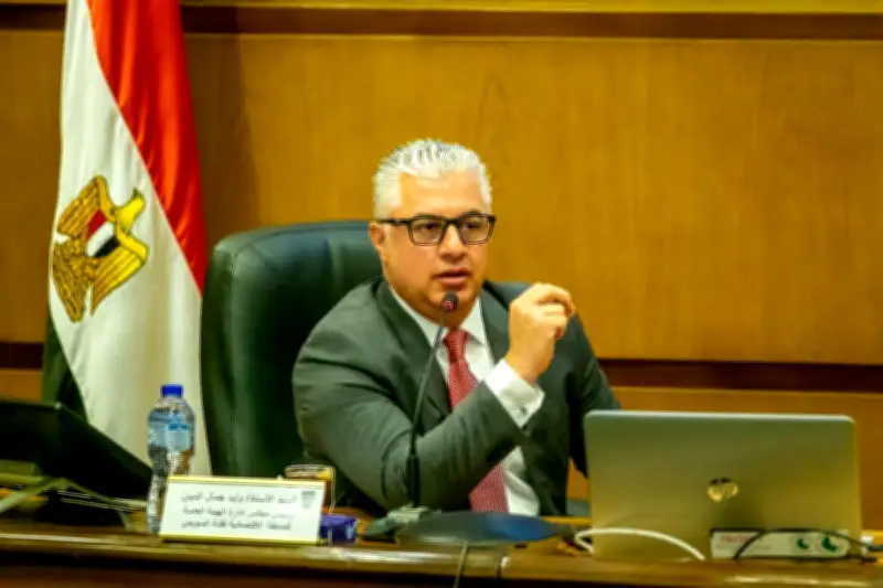 رئيس اقتصادية قناة السويس: طفرة في الموانئ والمناطق الصناعية خلال العقد الماضي