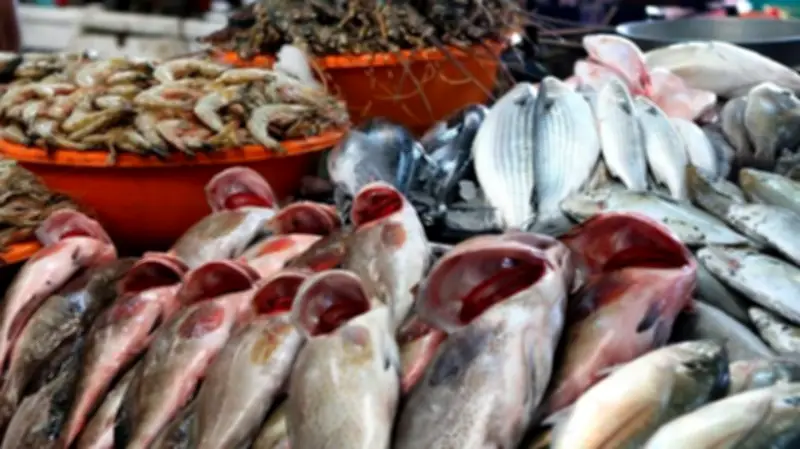 تقلبات أسعار السمك اليوم: تفاوت كبير بين البلطي والأصناف الفاخرة