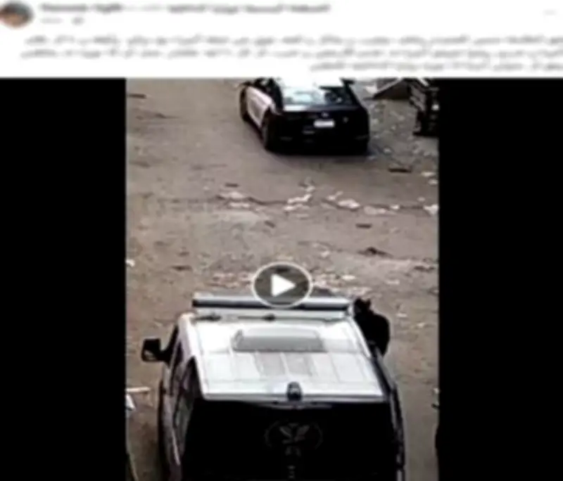 كشف زيف ادعاءات فتاة اتهمت ضابط شرطة بالسويس بتلفيق قضية