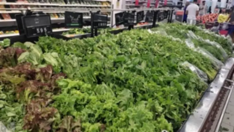 قفزة كبيرة في أسعار الخضروات الورقية مع اقتراب أول أيام رمضان