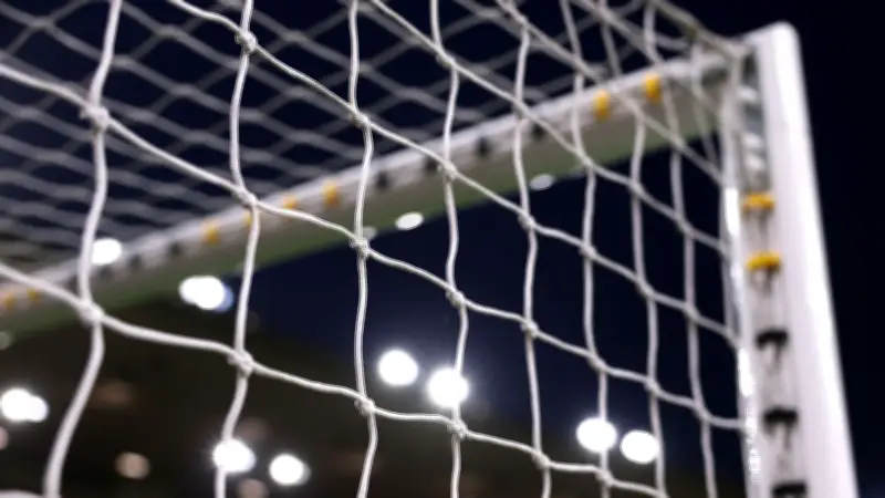 تحذير عاجل من وولفرهامبتون لجماهيره قبل مواجهة آرسنال بسبب العاصفة الثلجية