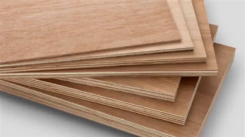 استقرار أسعار الأخشاب ومستلزمات النجارة في الأسواق المحلية اليوم الأربعاء