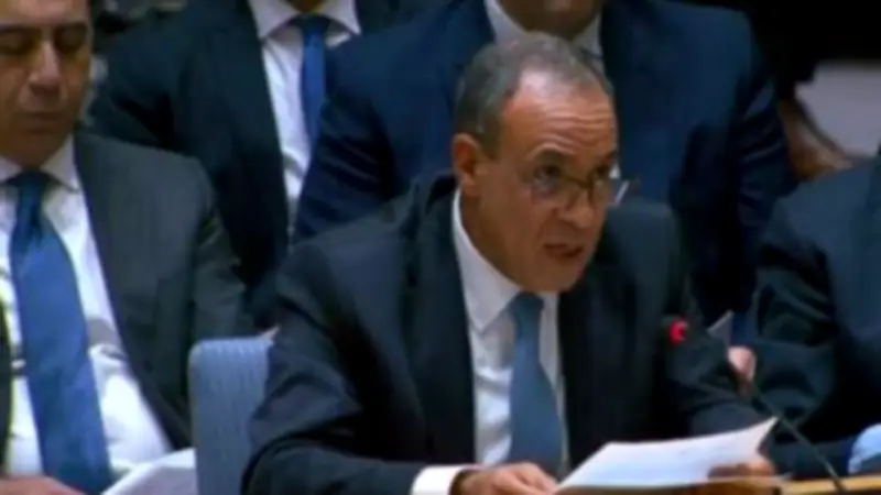 وزير الخارجية المصري يؤكد ثوابت الموقف الداعم للقضية الفلسطينية في مجلس الأمن