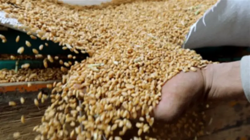 تقلبات حادة تشهدها أسواق السلع والمعادن النفيسة في تعاملات الخميس