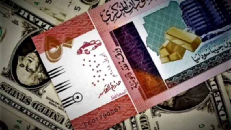 استقرار سعر الجنيه السوداني أمام الدولار في بنك السودان المركزي اليوم الخميس
