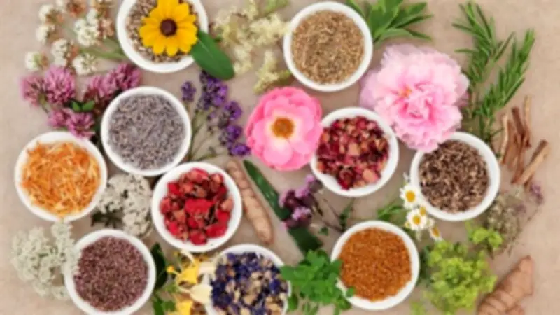 الأعشاب المدرة للبول: خطر الجفاف في رمضان وكيفية الوقاية منه