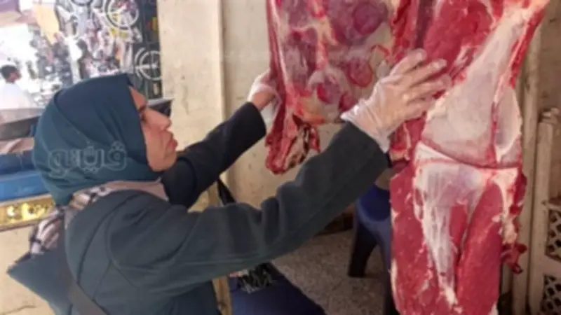 أسوان تشدد الرقابة على اللحوم والأسماك وتنفذ تطهيرًا مكثفًا لأسواق الطيور