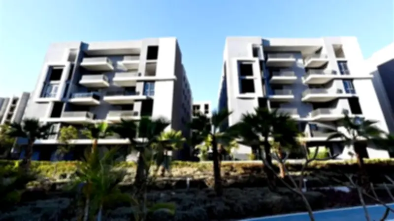 عضو تصديري العقار: معايير النجاح في السوق لم تعد بحجم المبيعات