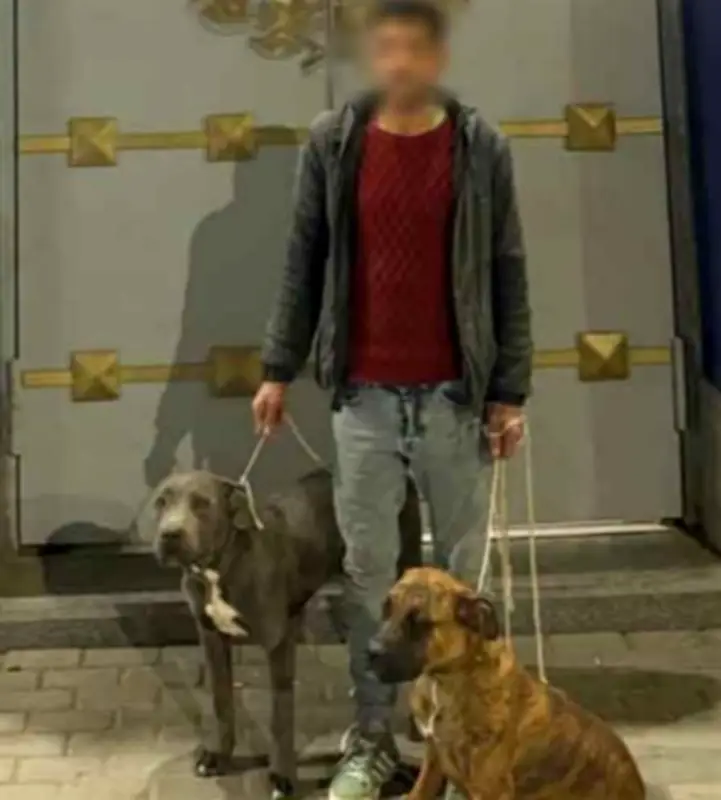 القبض على صاحب كلاب في الإسكندرية بعد نشر فيديو يظهر تعذيبه لها