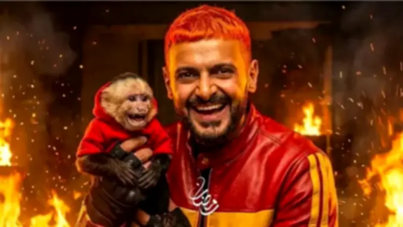 برلمانية تنتقد برنامج "رامز ليفل الوحش" وتؤكد: يتضمن عنفاً وإهانة صريحة للنساء