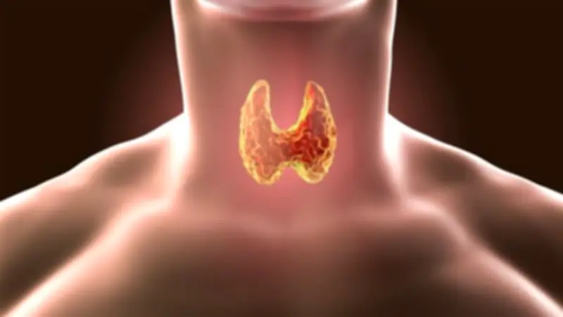 نصائح غذائية لمرضى الغدة الدرقية في رمضان: أطعمة ممنوعة ومشروبات داعمة