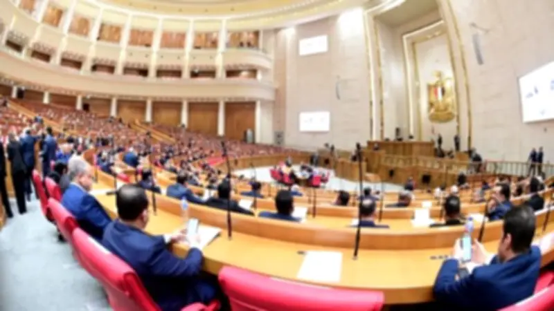 لجنة الخطة والموازنة تبحث تعديلات قانون الضريبة العقارية بحضور وزير المالية