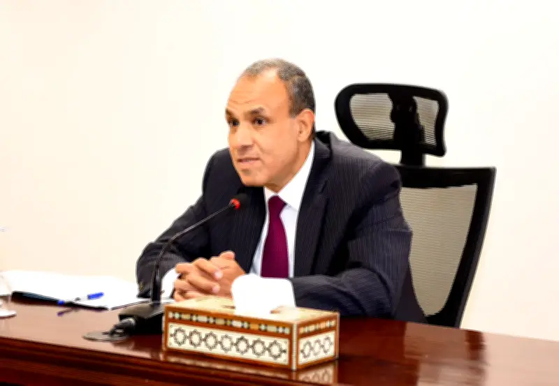وزير الخارجية المصري يطالب بانسحاب إسرائيلي كامل وغير مشروط من الأراضي اللبنانية