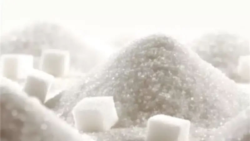 استقرار أسعار السكر في السوق المحلي اليوم مع توافر احتياطي استراتيجي كافٍ