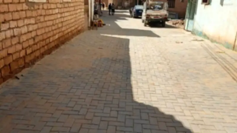 محافظ الوادي الجديد: استكمال رصف الشوارع الداخلية بالإنترلوك لتحسين الخدمات