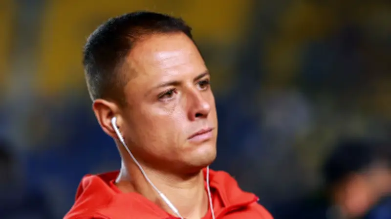 تشيتشاريتو ينهار باكيًا أمام قصة القرد الصغير بانش: لحظة مؤثرة تثير مشاعر الملايين