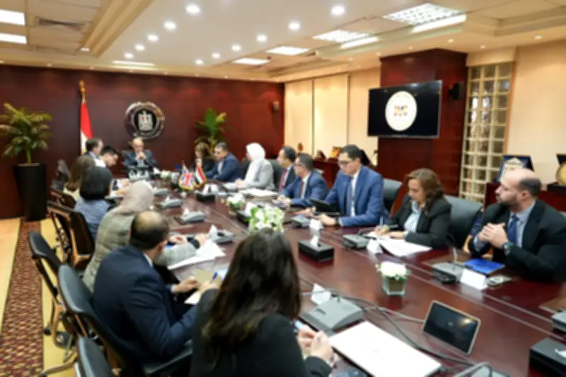 سفير المملكة المتحدة: بريطانيا من أكبر المستثمرين الأجانب في مصر