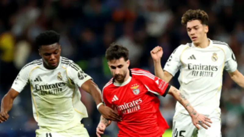 ريال مدريد يطرد مشجعًا من المدرجات بعد أدائه التحية النازية في مباراة بنفيكا