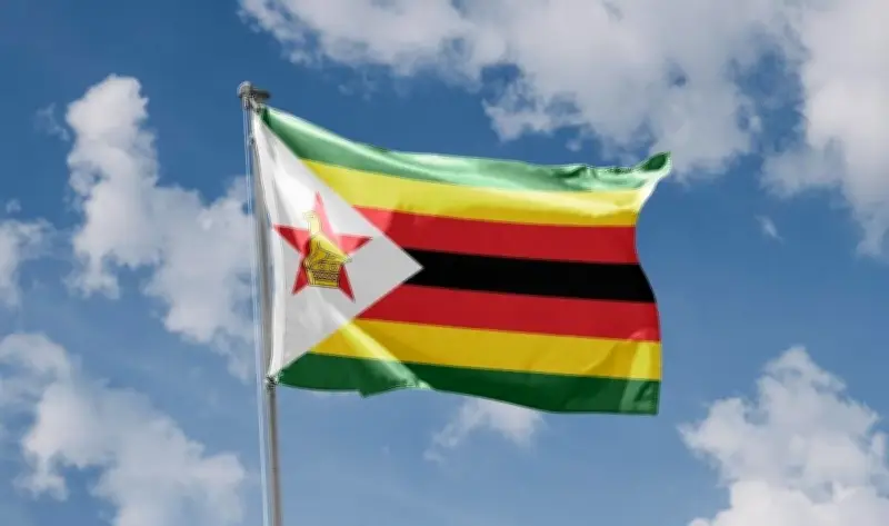 زيمبابوي توقف تصدير المعادن الخام وتفرض تركيز الليثيوم محلياً لتعزيز الصناعة