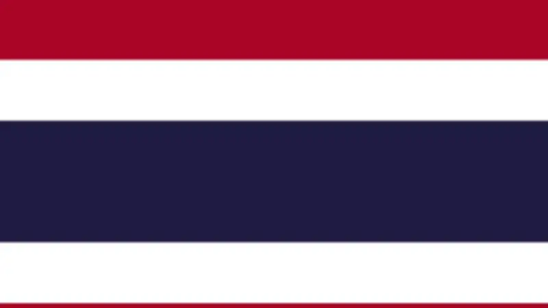 لجنة الانتخابات التايلاندية تعلن فوز حزب بهومجايتاي رسميًا في الانتخابات العامة