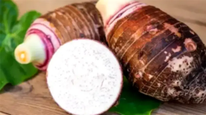 هل القلقاس يزيد القلق حقاً؟ أخصائي تغذية يكشف الحقيقة المذهلة