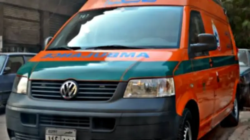 إصابة شاب بطلق خرطوش في مشاجرة عنيفة بقرية ميت ناجي في الدقهلية