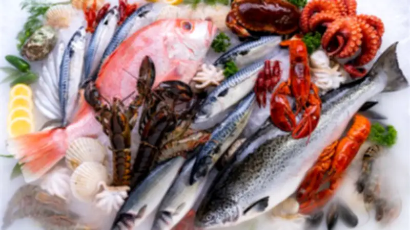 تقلبات في أسعار الأسماك بسوق العبور: انخفاض البلطي وارتفاع الجمبري وقشر البياض