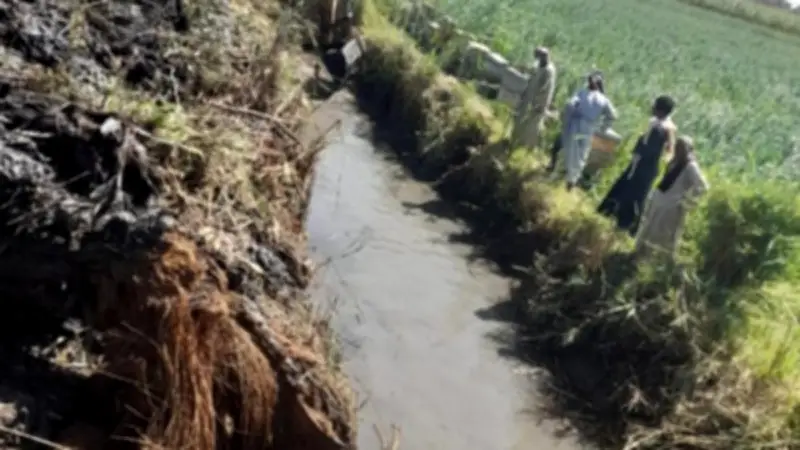 وزارة الزراعة تكثف تطهير المساقي في الأقصر لمواكبة موسم كسر قصب السكر