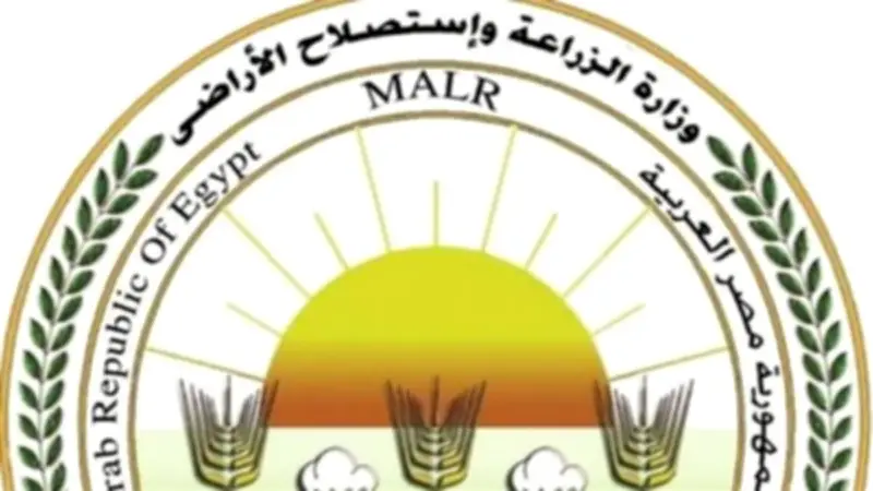 وزارة الزراعة تطلق خدمات مجانية ودعمًا فنيًا لمربي الدواجن لتعزيز الاستدامة