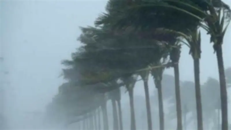 برودة وأمطار ورياح نشطة.. توقعات مفصلة لحالة طقس الإسكندرية غدًا