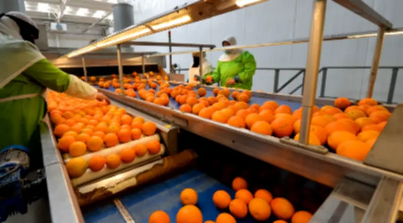 الحرب في الشرق الأوسط تهز التجارة الإقليمية وتؤثر على الصادرات المصرية