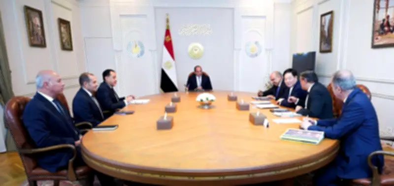 الرئيس السيسي يستقبل رئيس شركة GCL الصينية لبحث التعاون في مجال الطاقة المتجددة