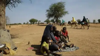 مقتل طفلين وإصابة 13 آخرين في هجوم على مسجد بكردفان والأمم المتحدة تحذر من تفاقم الأزمة الإنسانية