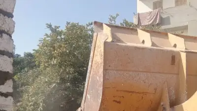 وزارة الزراعة تعلن إزالة 1341 حالة تعدٍ على الأراضي الزراعية خلال أسبوع واحد