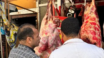 ضبط 139 كيلو لحوم فاسدة في حملة بيطرية مفاجئة بسوهاج استعدادًا لرمضان