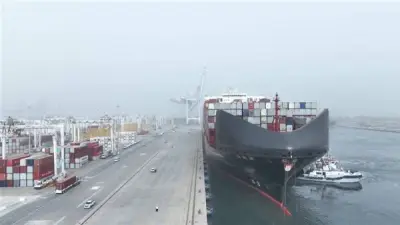 ميناء دمياط يشهد انتعاشة قوية باستقبال 14 سفينة وتداول 90 ألف طن بضائع خلال 24 ساعة