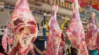 استقرار أسعار اللحوم في أول أيام رمضان 2026.. البتلو يسجل 415 جنيها للكيلو