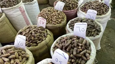 أسعار بلح رمضان 2026 في سوق الساحل بروض الفرج: الفئة المتوسطة من 80 إلى 130 جنيهاً والفاخرة تصل لـ200 جنيه