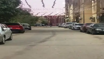 أسوان ترفع 219 طنًا من المخلفات في حملة نظافة مكثفة تشمل 4 أحياء رئيسية