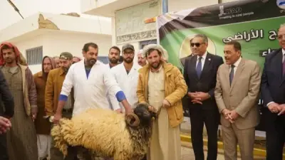 وزارة الزراعة تدعم مطروح بـ280 كبشًا و50 ألف شتلة زيتون لتعزيز الأمن الغذائي