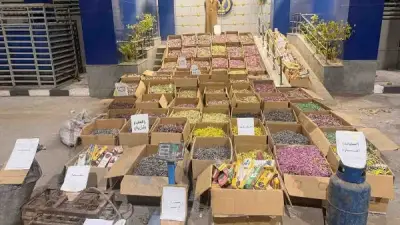 الغربية تضبط 2950 قطعة ألعاب نارية محظورة في حملات تموينية موسعة